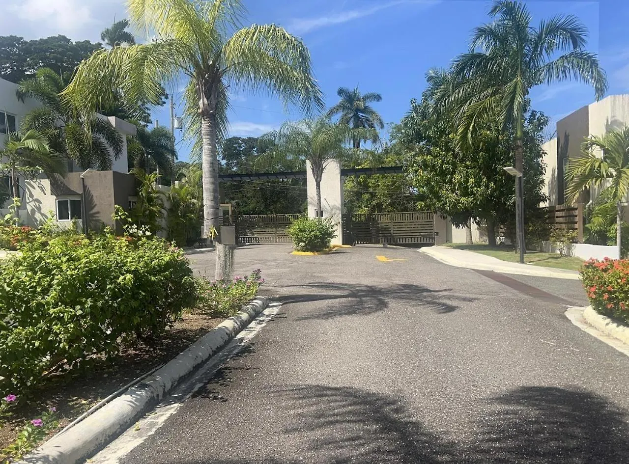 Azalia Palms New Oceanview Villa مونتيغو باي